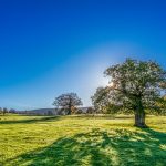 Canicule et refroidissement des logements