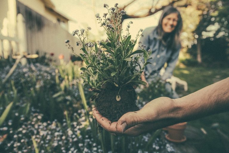 Quelques idées de cadeau pour jardinage