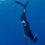 un cours d'initiation apnée martinique