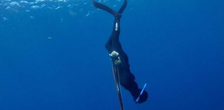 un cours d'initiation apnée martinique