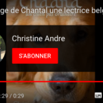 Comment youtube compte t il les vues?