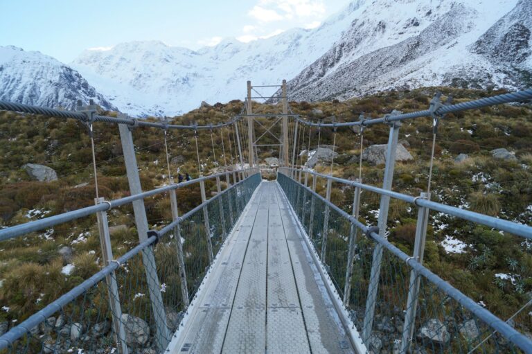 à découvrir en Nouvelle-Zélande