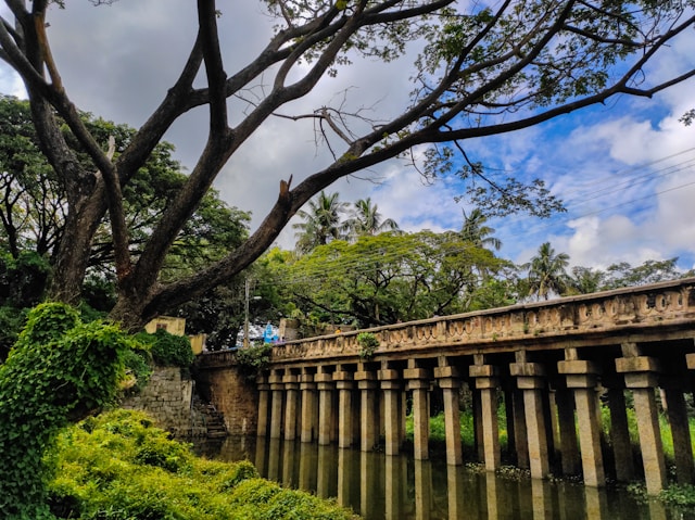 Ponts en Inde