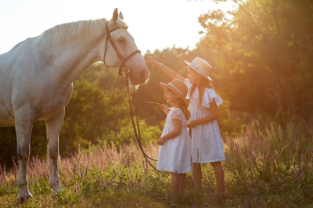 animaux et enfants